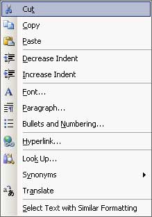 The Word 2003 context drop-down menu