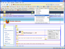 Web Developer