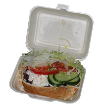 Kebab in Polystyrene